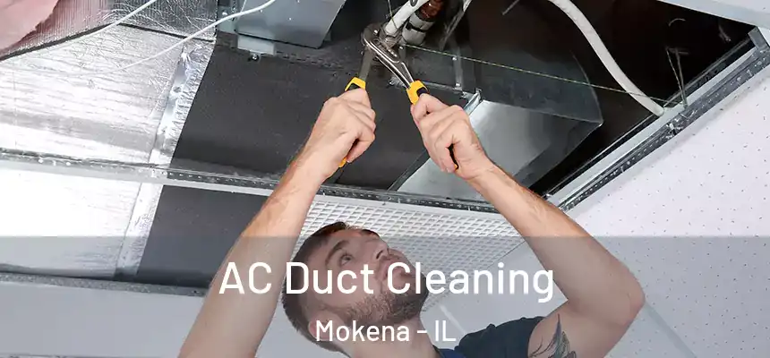 AC Duct Cleaning Mokena - IL