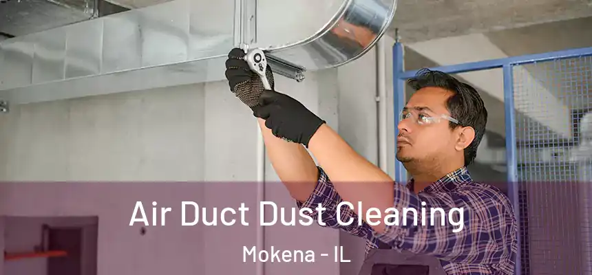  Air Duct Dust Cleaning Mokena - IL