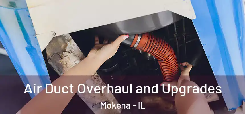  Air Duct Overhaul and Upgrades Mokena - IL