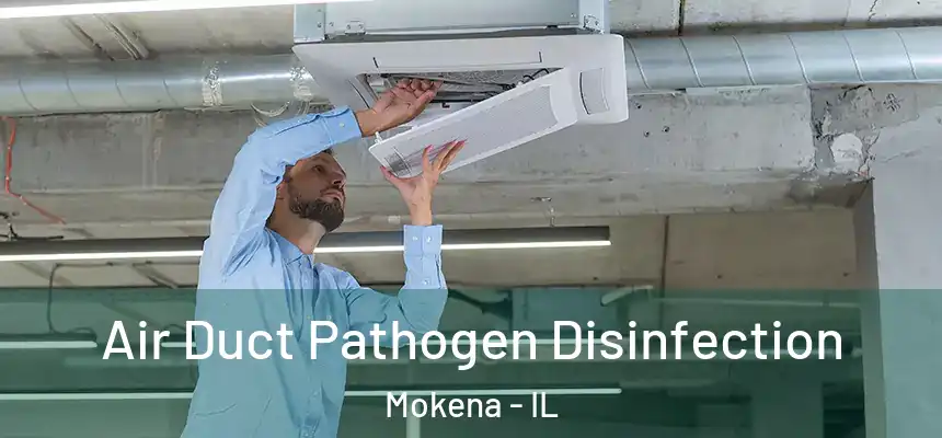 Air Duct Pathogen Disinfection Mokena - IL