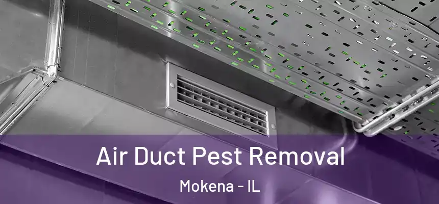Air Duct Pest Removal Mokena - IL
