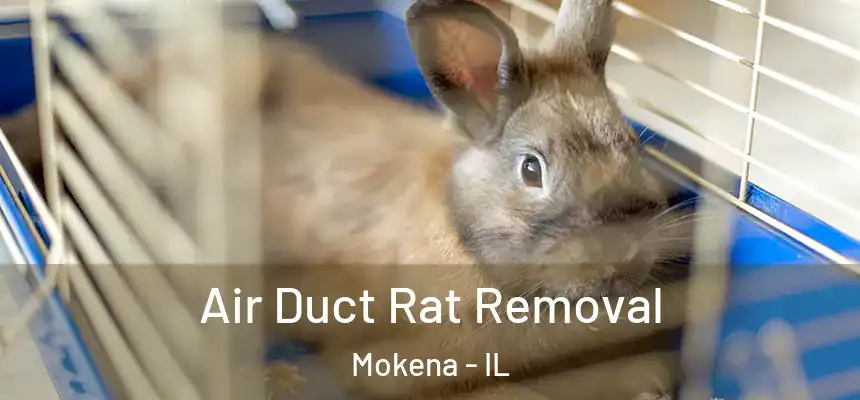  Air Duct Rat Removal Mokena - IL