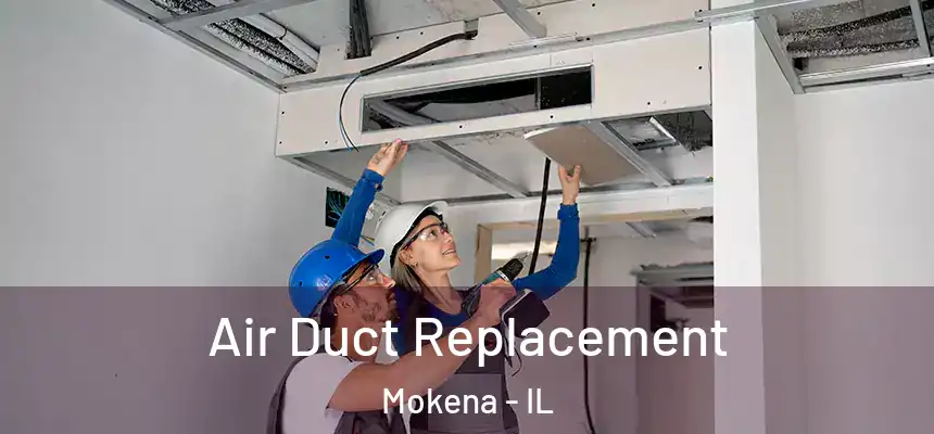  Air Duct Replacement Mokena - IL