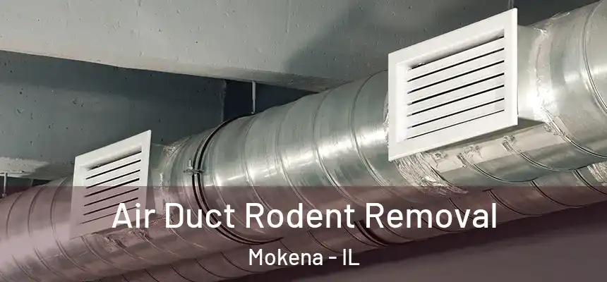 Air Duct Rodent Removal Mokena - IL