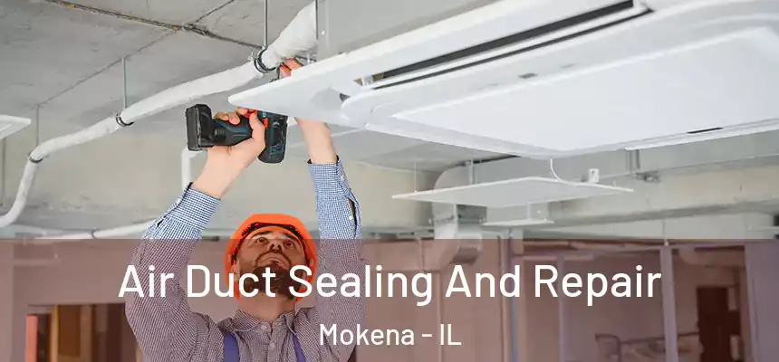  Air Duct Sealing And Repair Mokena - IL