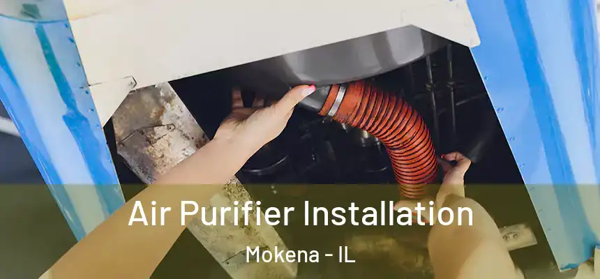  Air Purifier Installation Mokena - IL