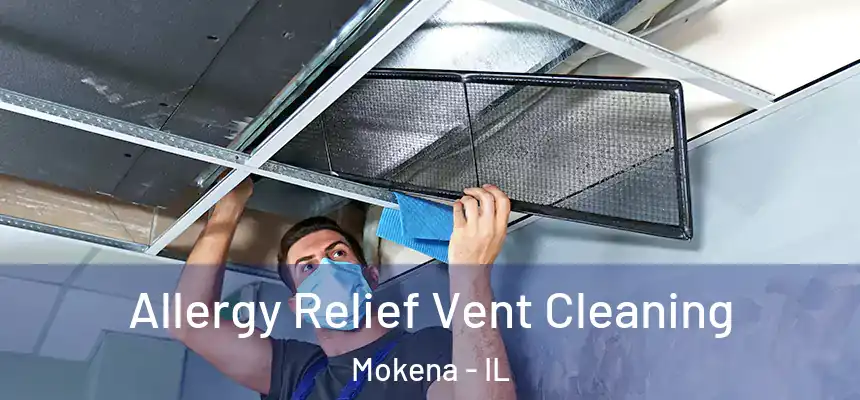  Allergy Relief Vent Cleaning Mokena - IL