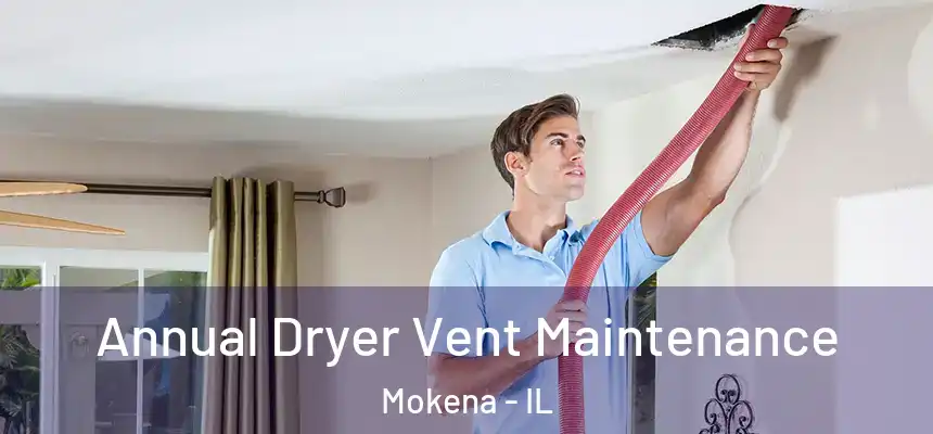  Annual Dryer Vent Maintenance Mokena - IL