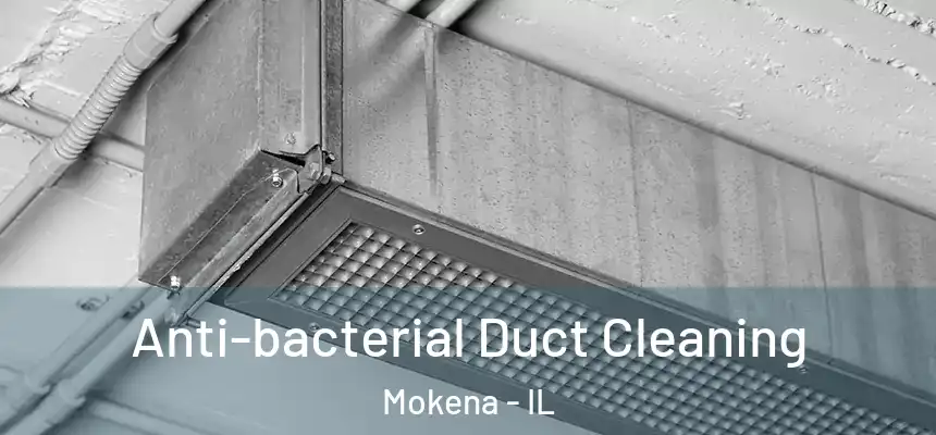Anti-bacterial Duct Cleaning Mokena - IL