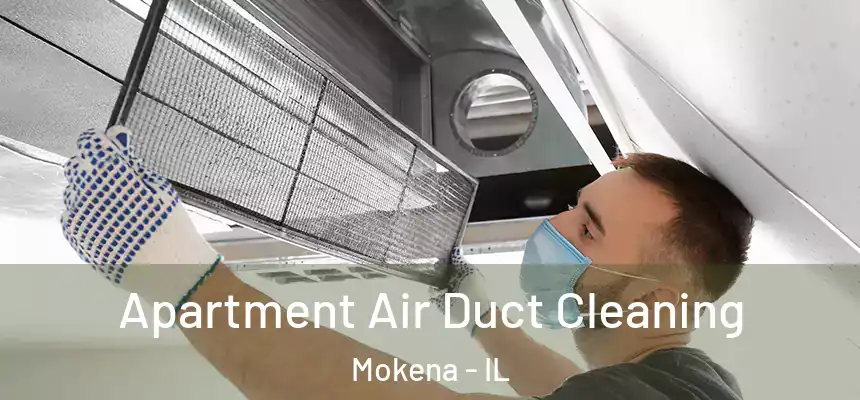 Apartment Air Duct Cleaning Mokena - IL