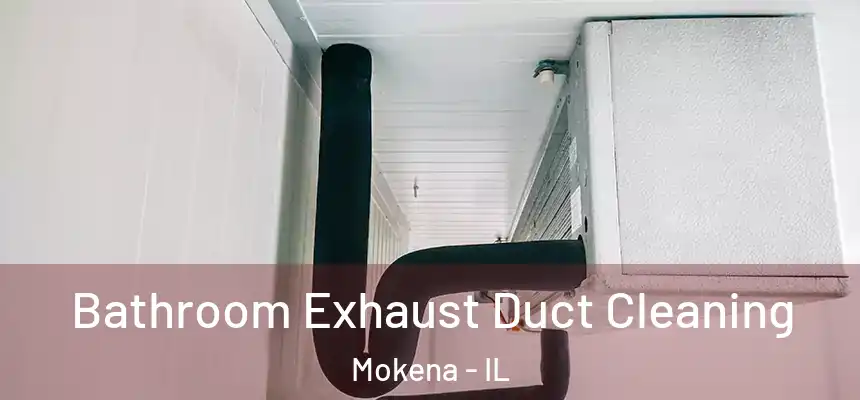 Bathroom Exhaust Duct Cleaning Mokena - IL