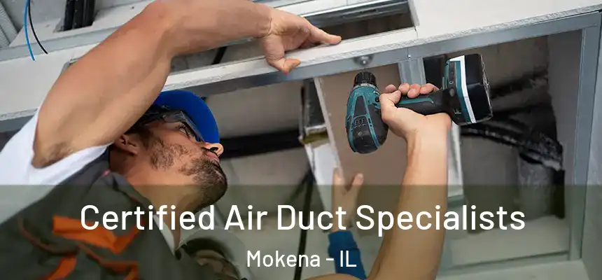 Certified Air Duct Specialists Mokena - IL