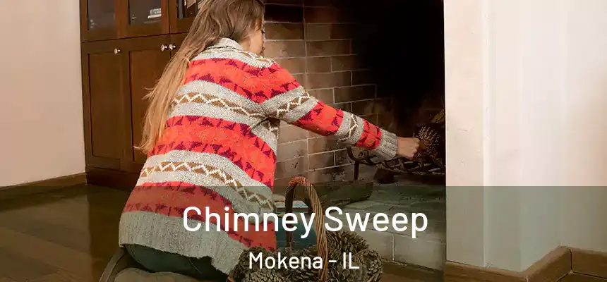 Chimney Sweep Mokena - IL
