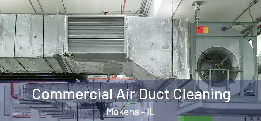  Commercial Air Duct Cleaning Mokena - IL