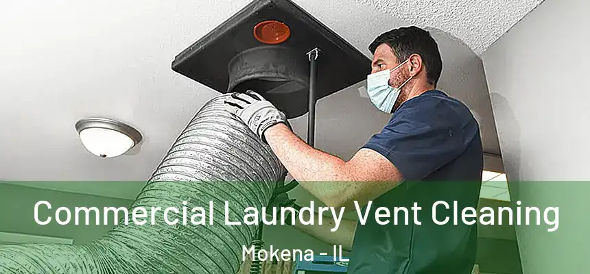  Commercial Laundry Vent Cleaning Mokena - IL