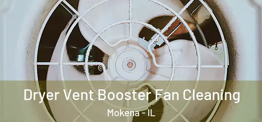 Dryer Vent Booster Fan Cleaning Mokena - IL