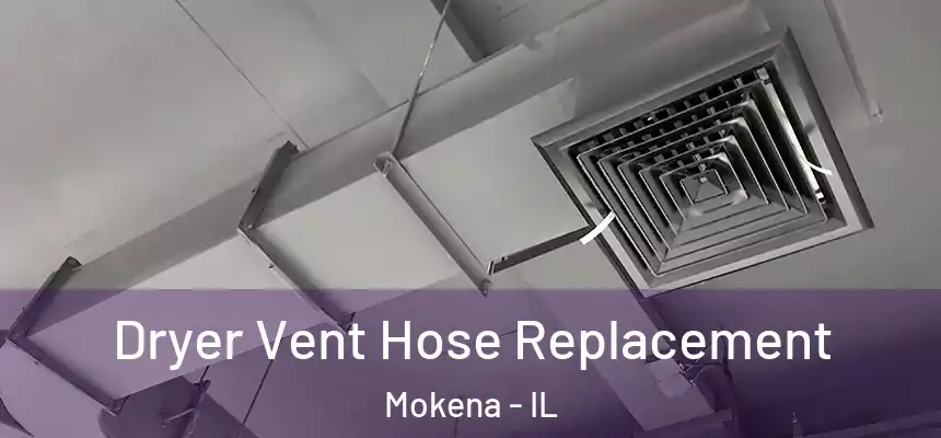 Dryer Vent Hose Replacement Mokena - IL