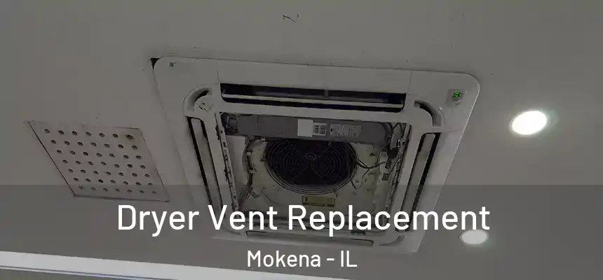 Dryer Vent Replacement Mokena - IL