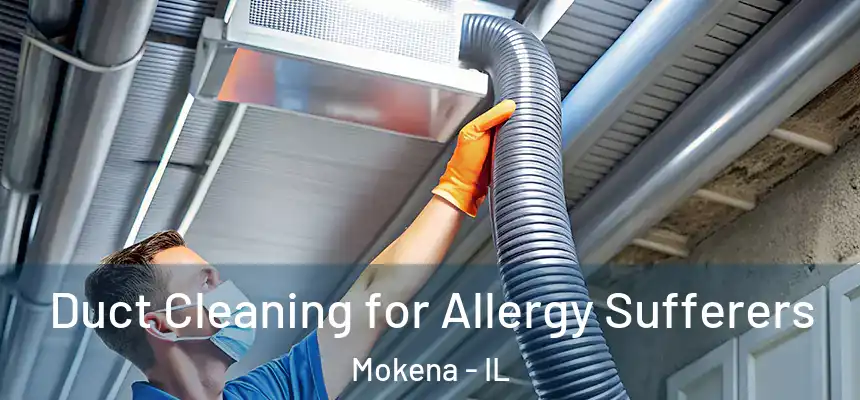 Duct Cleaning for Allergy Sufferers Mokena - IL