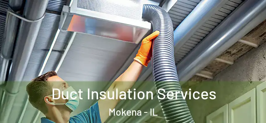 Duct Insulation Services Mokena - IL