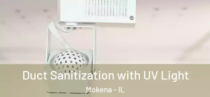  Duct Sanitization with UV Light Mokena - IL