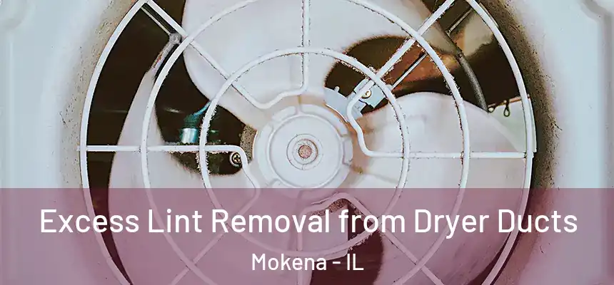  Excess Lint Removal from Dryer Ducts Mokena - IL