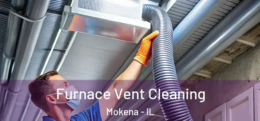 Furnace Vent Cleaning Mokena - IL