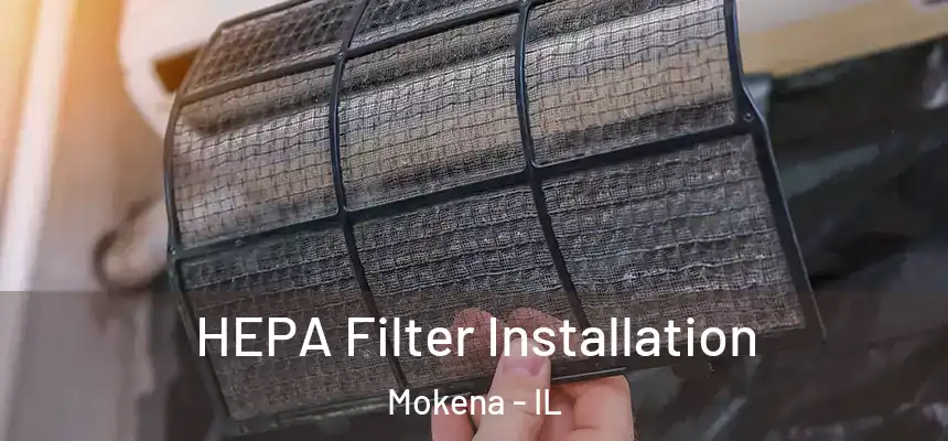  HEPA Filter Installation Mokena - IL