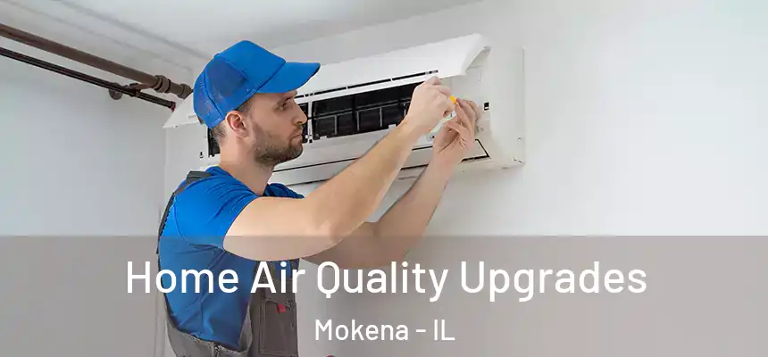 Home Air Quality Upgrades Mokena - IL
