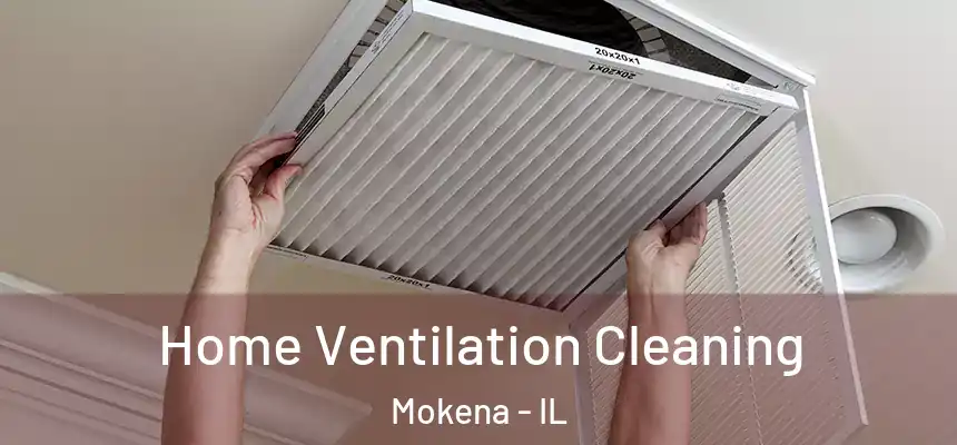 Home Ventilation Cleaning Mokena - IL