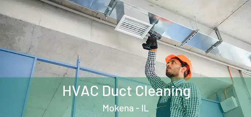  HVAC Duct Cleaning Mokena - IL