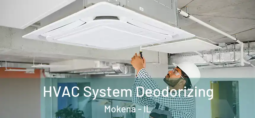 HVAC System Deodorizing Mokena - IL