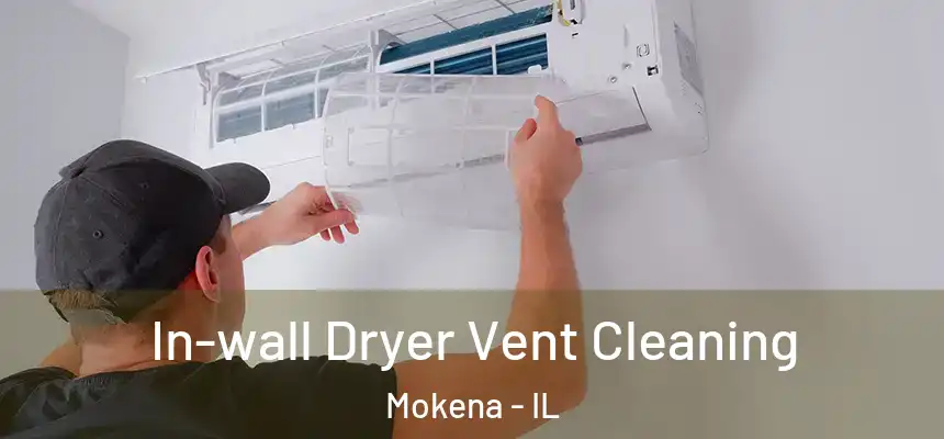  In-wall Dryer Vent Cleaning Mokena - IL