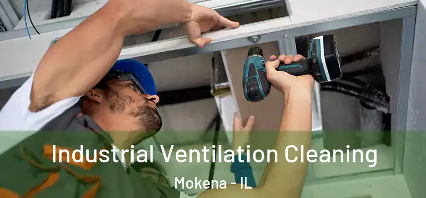 Industrial Ventilation Cleaning Mokena - IL