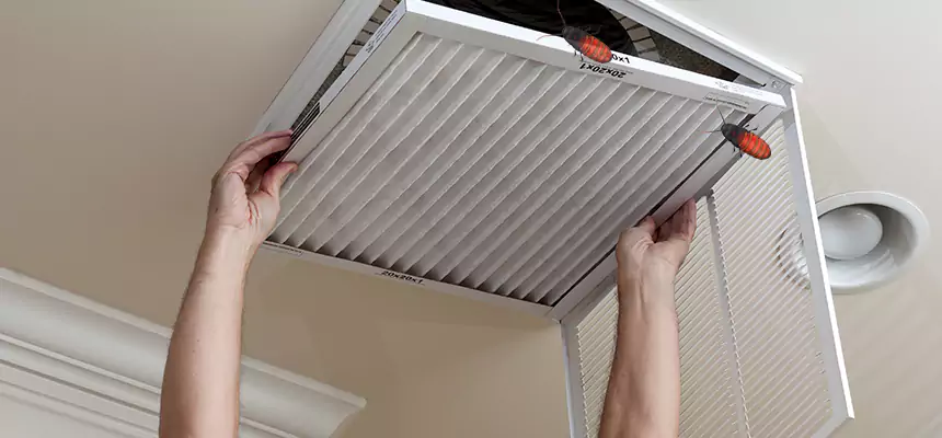Preventive Cockroach-Proofing for Ducts in Mokena