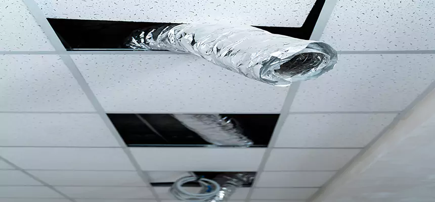 Our Air Duct Pet Hair Removal Services in Mokena, IL