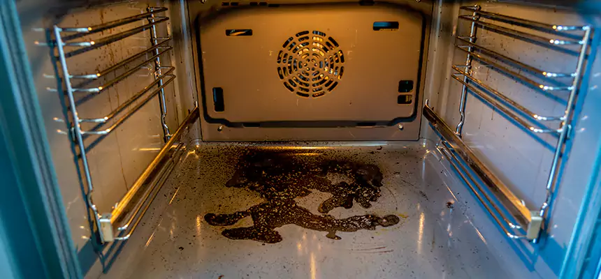 Our Dryer Vent Mold Cleaning Services in Mokena, IL