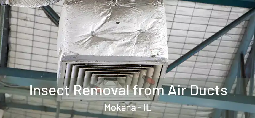 Insect Removal from Air Ducts Mokena - IL