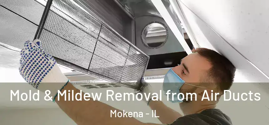  Mold & Mildew Removal from Air Ducts Mokena - IL