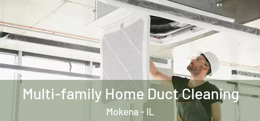  Multi-family Home Duct Cleaning Mokena - IL