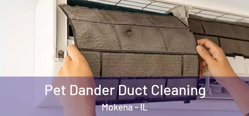  Pet Dander Duct Cleaning Mokena - IL