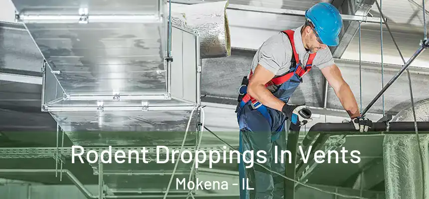  Rodent Droppings In Vents Mokena - IL