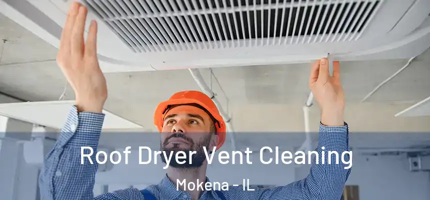  Roof Dryer Vent Cleaning Mokena - IL