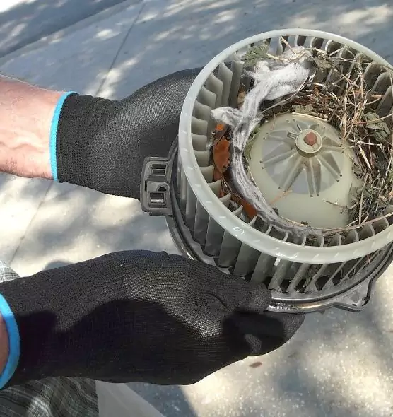 About Air Duct Mice Removal in Mokena, IL