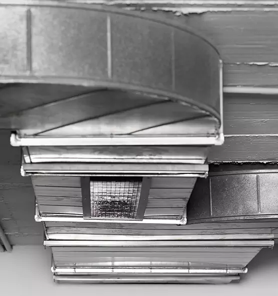 Professional Air Duct Pet Hair Removal in Mokena, IL