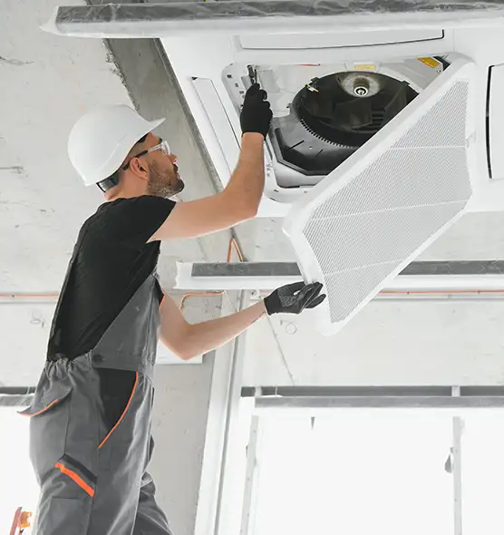 About Air Duct Rodent Removal in Mokena, IL