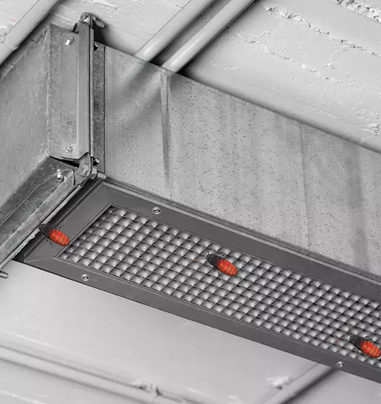 Affordable Insect Removal from Air Ducts in Mokena, IL
