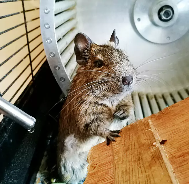 Why Homeowners & Businesses Trust Us Mokena, IL?