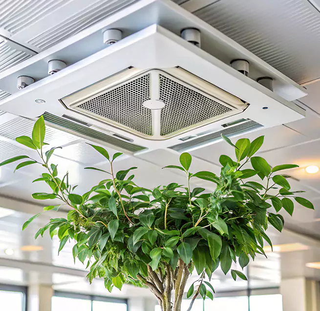 Why Homeowners & Businesses Trust Us in Mokena, IL?