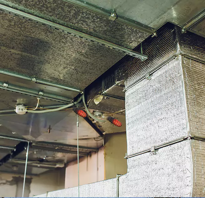 Why Homeowners & Businesses Trust Us Mokena, IL?